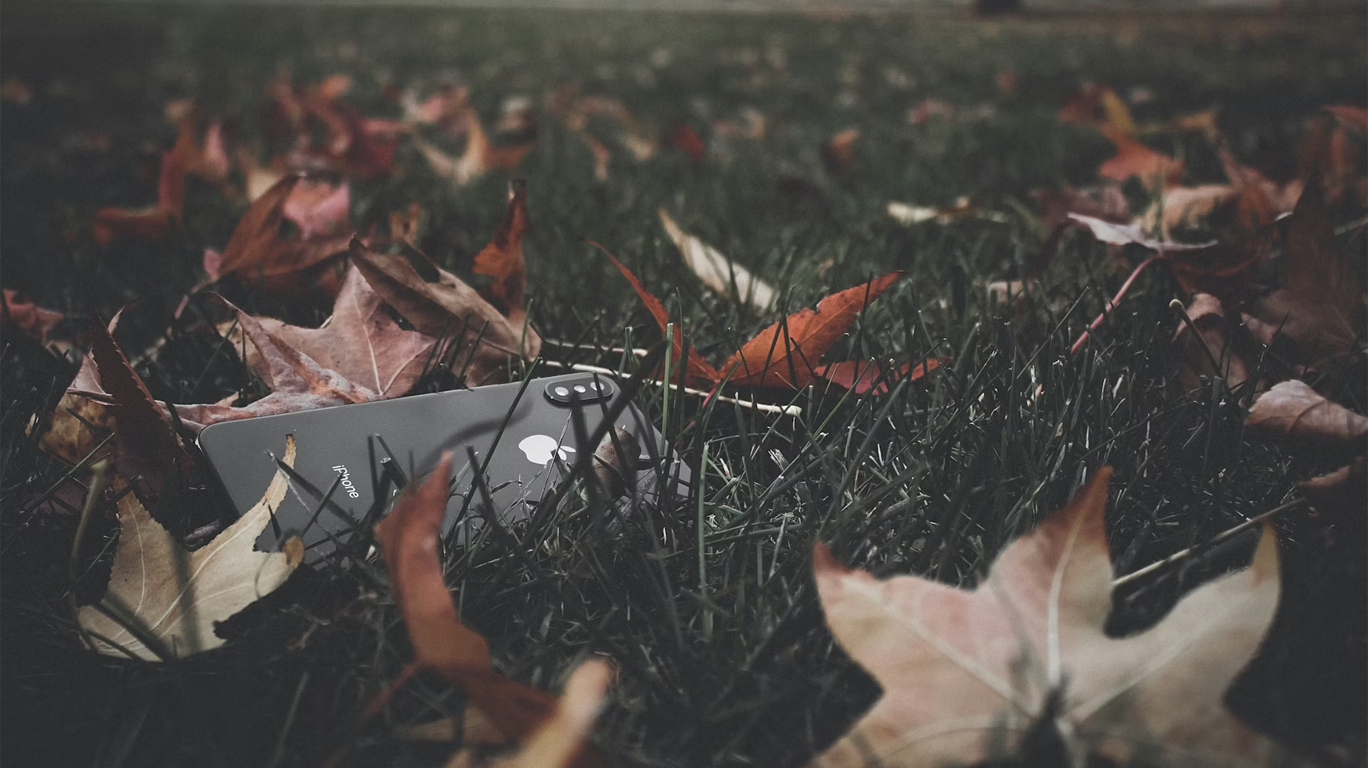 Lost or Stolen Device? Here’s What to Do Next