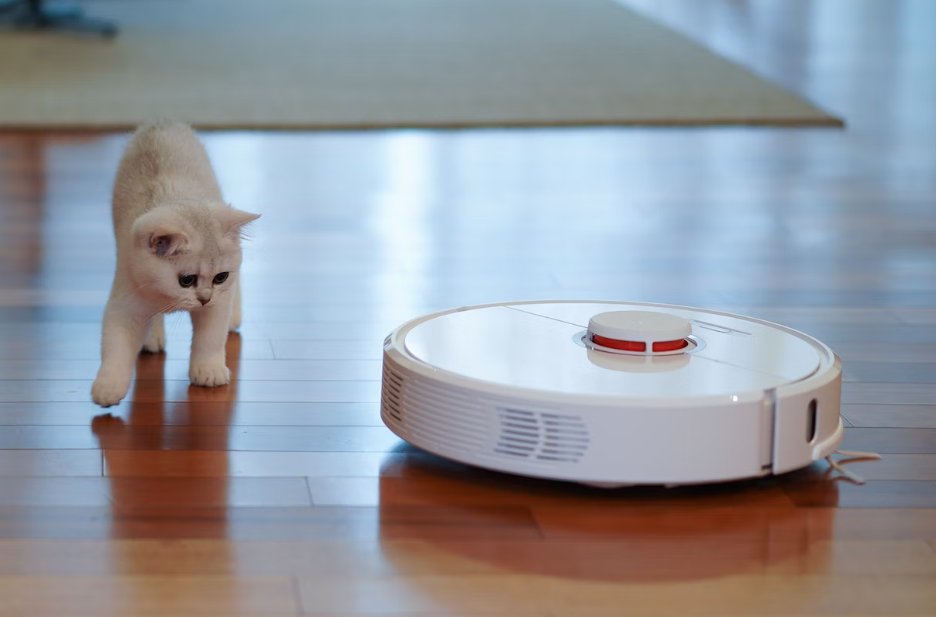 Curious kitten watching a robot vacuum cleaner on wooden floor.